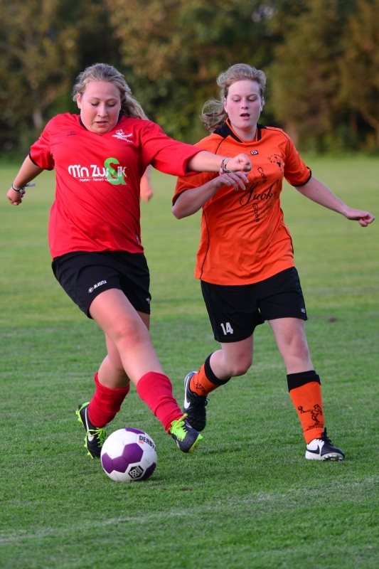 Fotojobse 200814_46.JPG