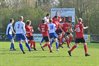 Filename=DSC_6053.JPG
Filesize=177KiB
Dimensions=799x533
Date added=Mar 26, 2026 DSC_6053.JPG