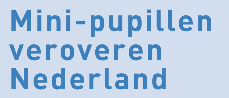 De Noormannen mini's